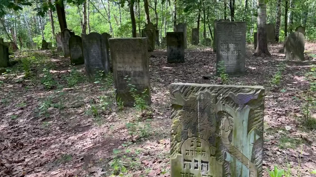 Original photograph at Bródno Jewish Cemetery: The wooded avenues now conceal the grounds’ older associations with the turbulent history of Praga.