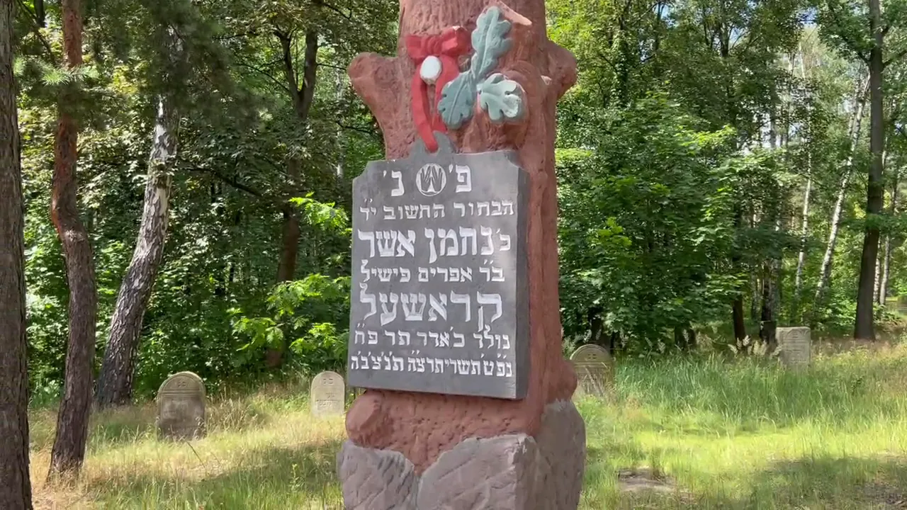 Original photograph at Bródno Jewish Cemetery: One surviving inscribed matzevah stands among the trees. It represents the personal lives still trac