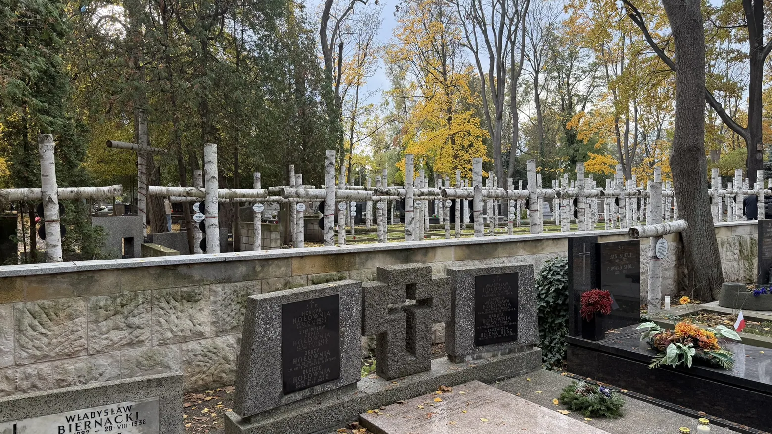 Rows of birch crosses in the Zośka battalion burial plot.
