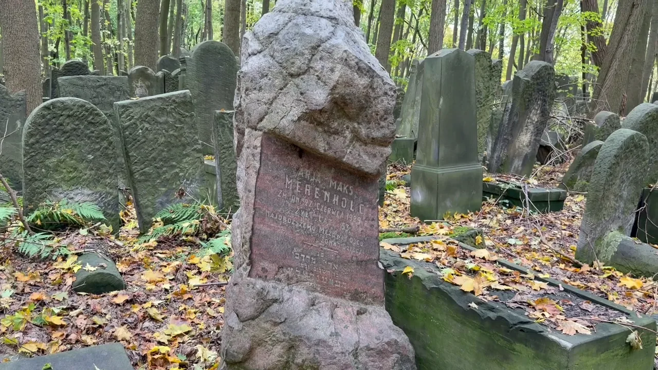 Rows of historic gravestones extending beneath trees at Okopowa Jewish Cemetery